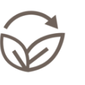 ESG Icon - leaves with half circle arrow